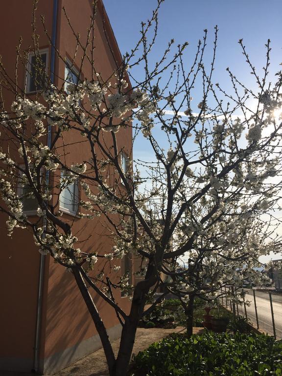 Apartment Nina Ζαντάρ Εξωτερικό φωτογραφία